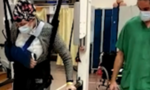 Système motorisé d'aide à la marche à Trestel